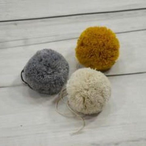 Lilu Pom Pom's